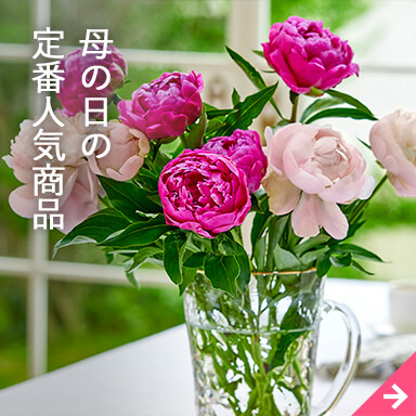 母の日定番人気商品