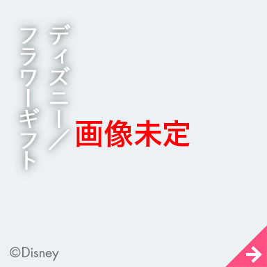 ディズニー/フラワーギフト
