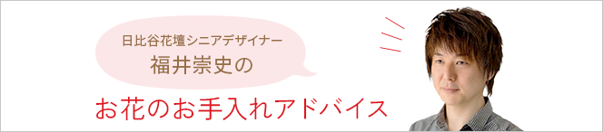 お花のお手入れアドバイス