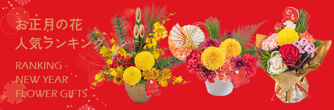 お正月人気ランキングはこちら