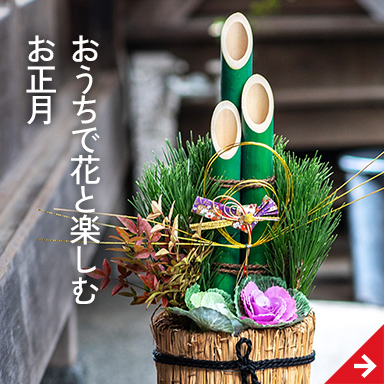 おうちで花と楽しむお正月