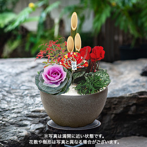 お正月 迎春門松寄せ植え