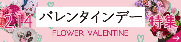 バレンタインデー特集