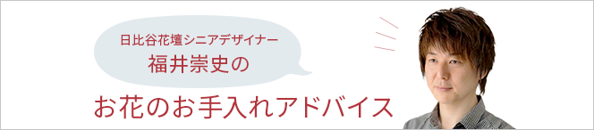 お花のお手入れアドバイス