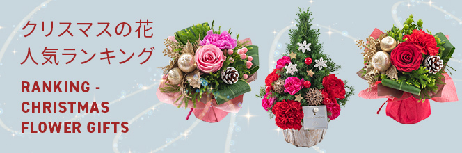 クリスマス人気ランキングはこちら