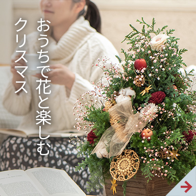 おうちで花と楽しむクリスマス
