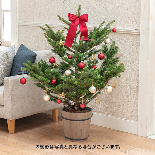 モミの木とクリスマスオーナメントのセット