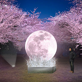 小金井公園「花と光のムーブメント」ライトアップ施工