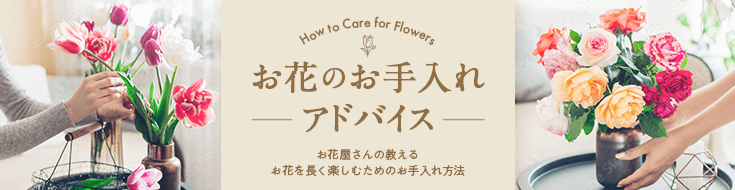お花のお手入れアドバイス
