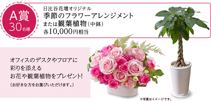 A賞30名様　日比谷花壇オリジナル季節のフラワーアレンジメントまたは観葉植物（中鉢）各10,000円相当