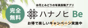”お花のSNS”ハナノヒ Be